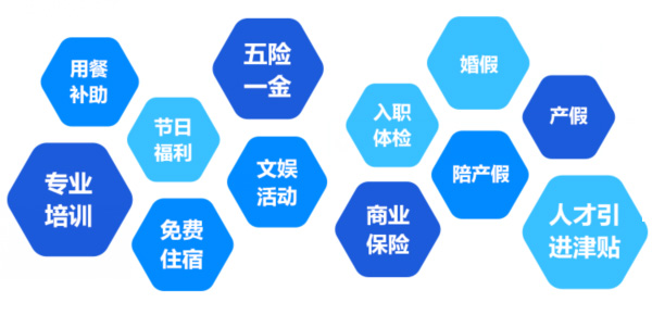提供全面、系統(tǒng)、專業(yè)的培訓(xùn)和廣闊的<br>職業(yè)發(fā)展空間和提升機會