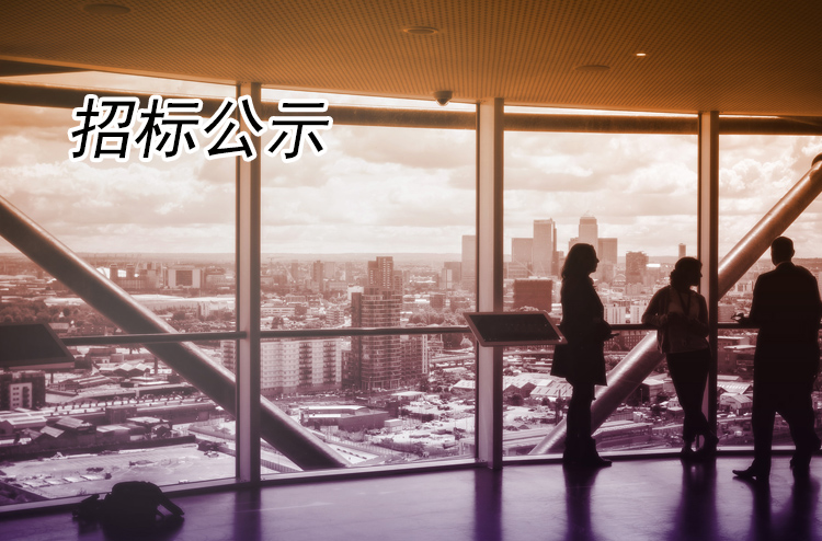 瘦西湖宸臨大觀酒店電器采購(gòu)成交公告